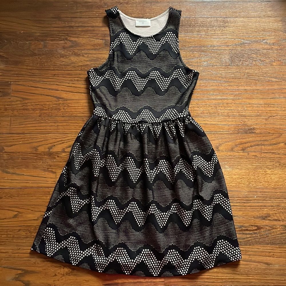 Anthropologie Everly Black and Cream Lace Fit and Flare Dress